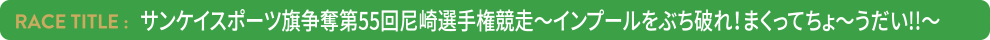 サンケイスポーツ旗争奪第55回尼崎選手権競走〜インプールをぶち破れ！まくってちょ〜うだい！！〜